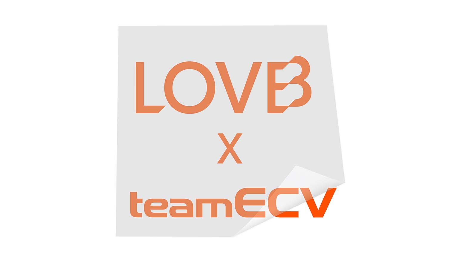 lovb window transfer decal on white background