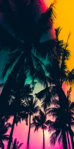 Colored Palm Trees