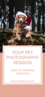 Pet Photography Session Retractable Banner Template