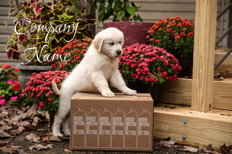 COMPANY BUSINESS LABEL