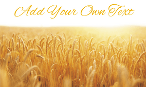 Wheat fields Harvest Banner