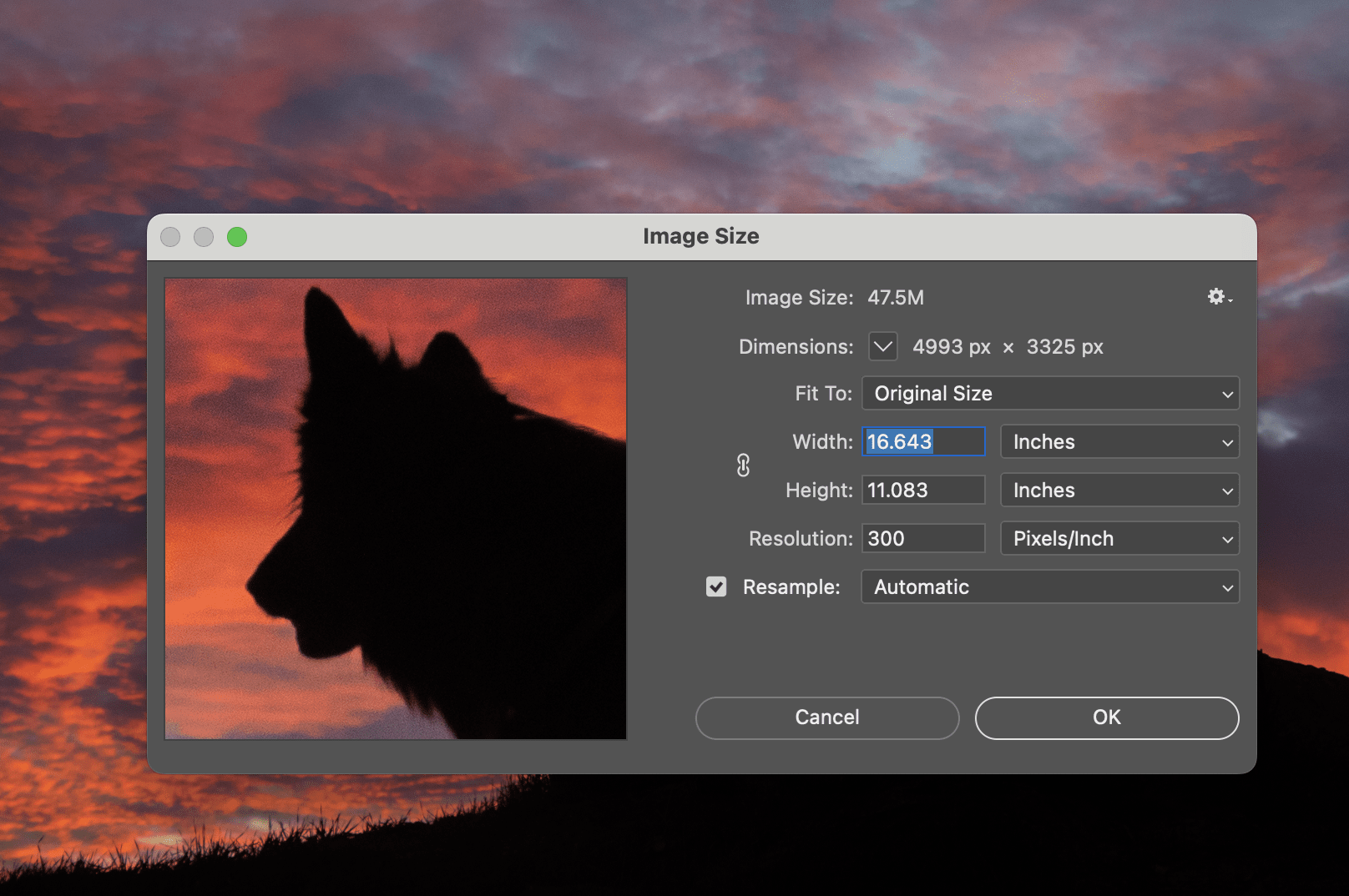 a-comprehensive-guide-to-changing-image-resolution-in-photoshop