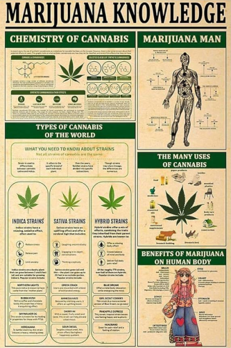 Cannabis Education Poster 1
