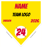 Baseball Pennant Banner Template 09