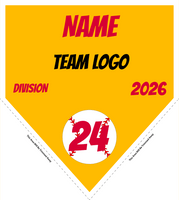 Baseball Pennant Banner Template 10