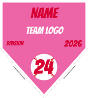 Baseball Pennant Banner Template 14