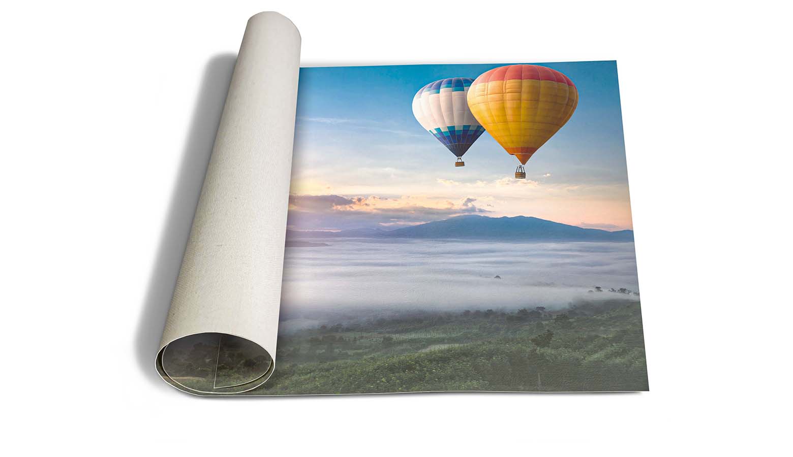 Rolled Canvas Prints