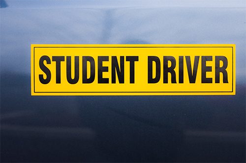 Magnetic Signs For Cars student driver print moz