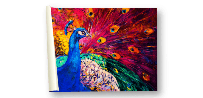 Rolled Canvas Prints