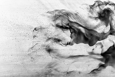 gator board abstract