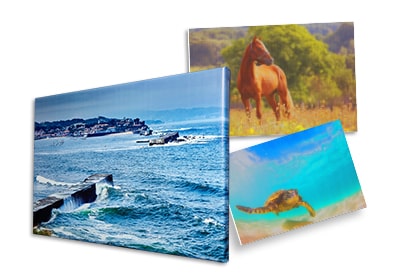 canvas wraps, gallery wraps